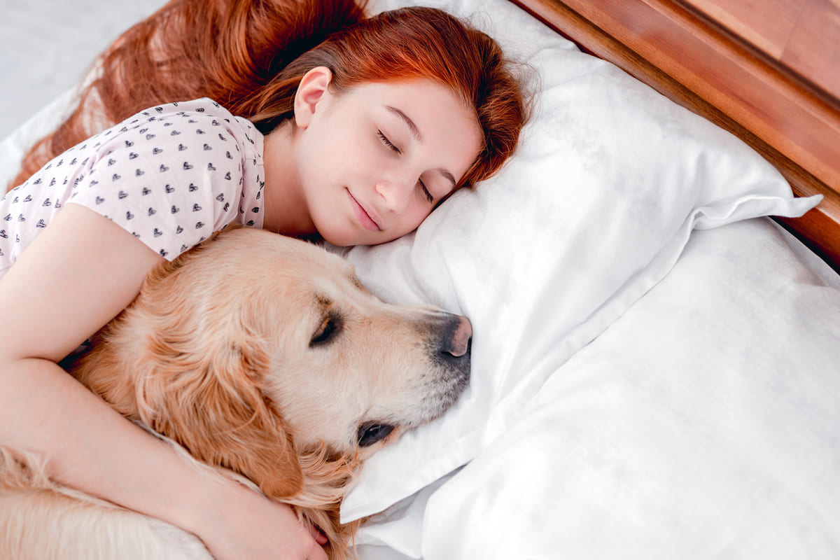Dormire col cane