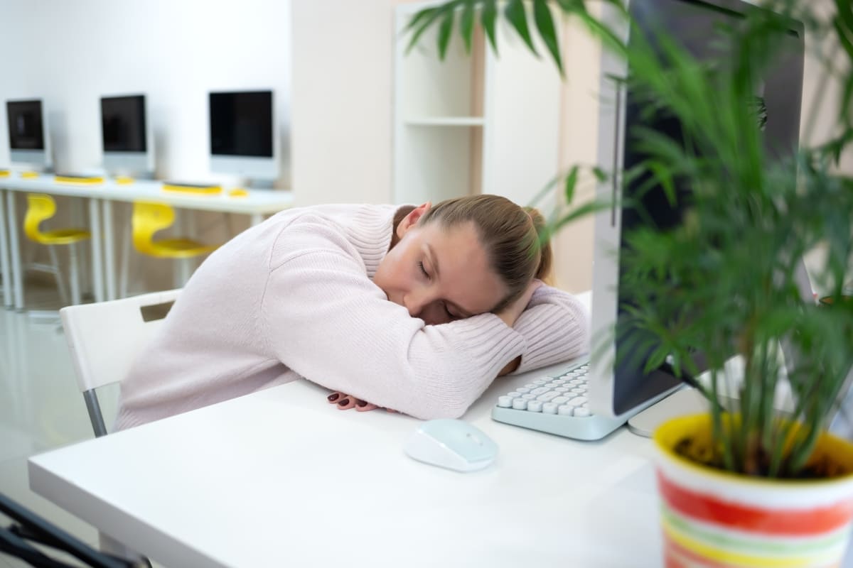 Dovresti fare un pisolino al lavoro