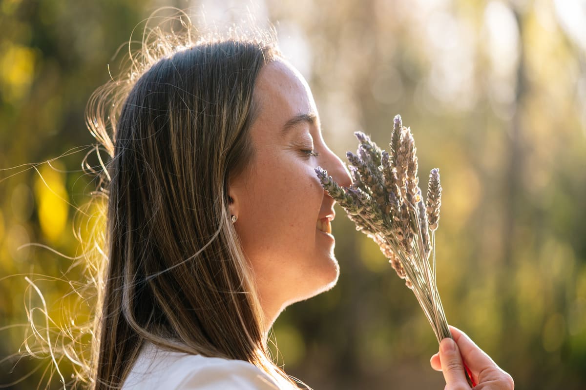 La lavanda può davvero aiutarti a dormire meglio