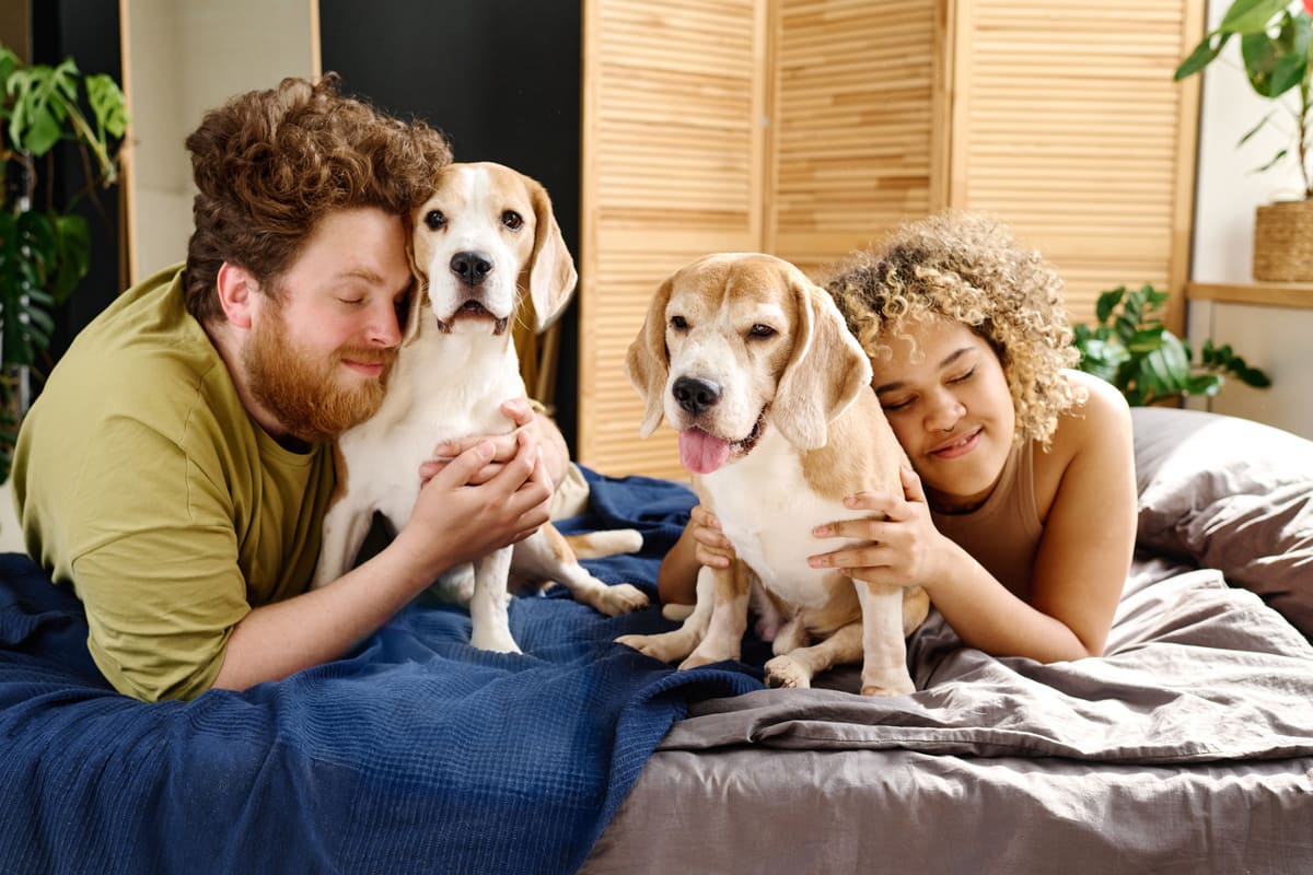 Come abbinare la tua camera da letto alla tua personalità