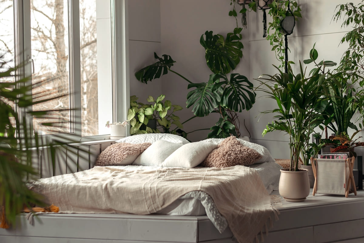 migliorare la qualità dell'aria in camera da letto