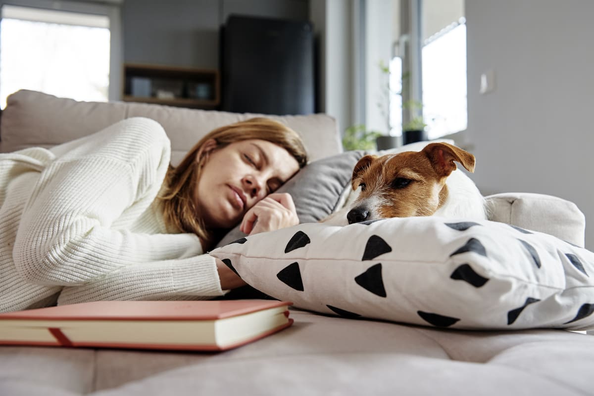 vantaggi del dormire con gli animali domestici