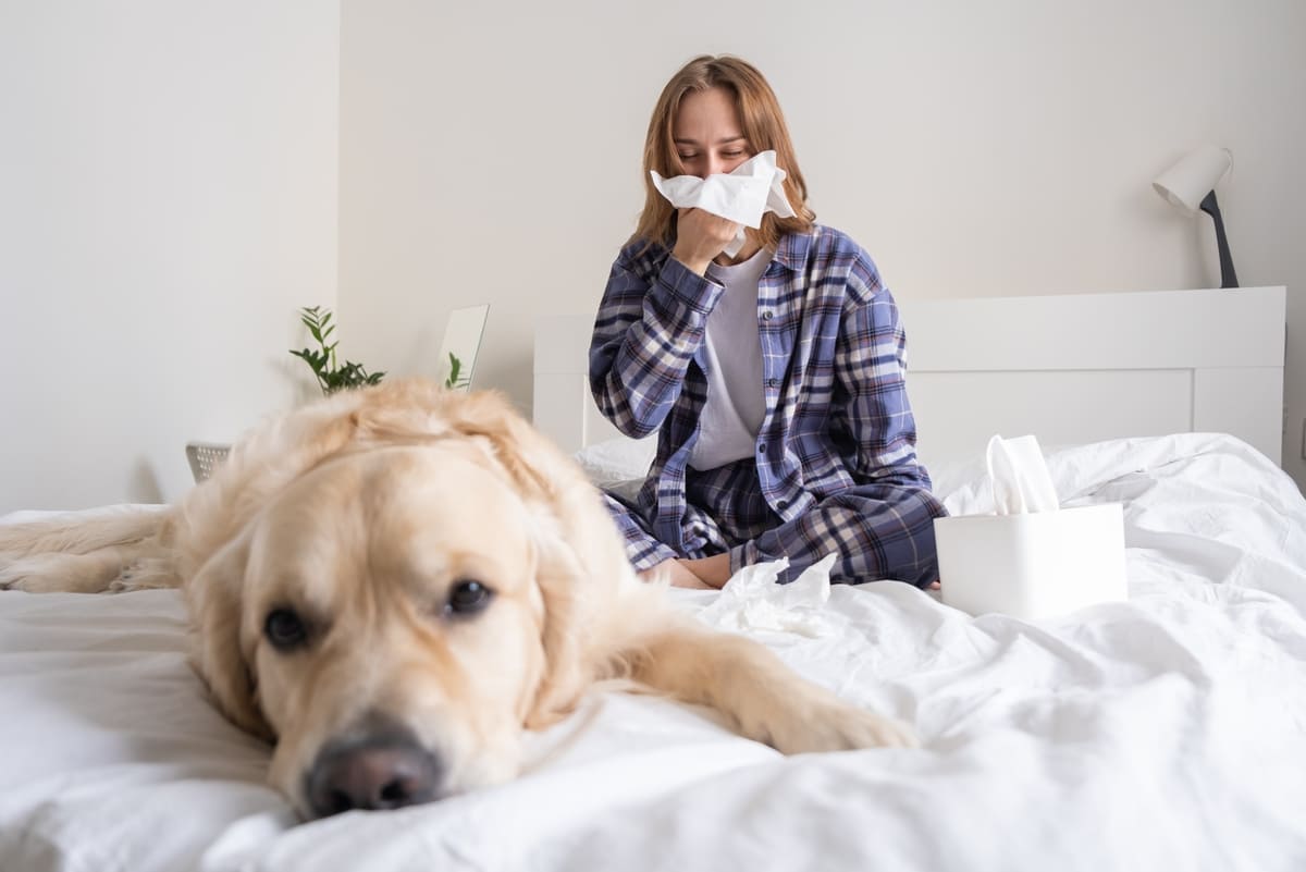 allergie agli acari della polvere