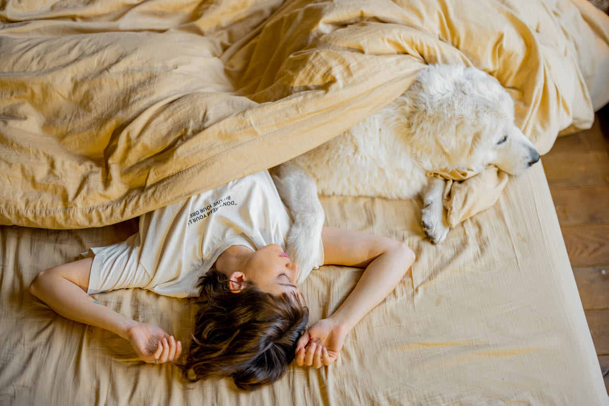 sonno e il sistema nervoso