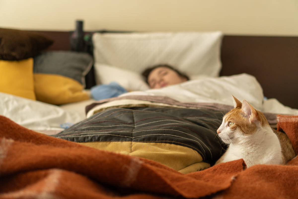 Come scegliere il materasso perfetto per il tuo tipo di sonno