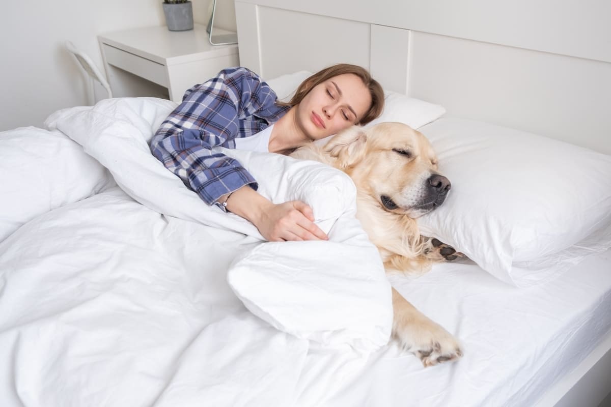 dormire con animali